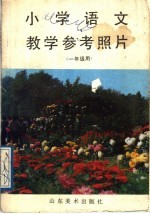 小学语文教学参考照片 一年级