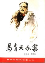 马青天办案