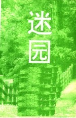 迷园:当代情爱小说选 A卷