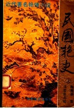 民国艳史 上
