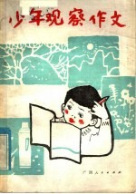 少年观察作文