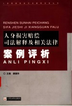 人身损害赔偿司法解释及相关法律案例评析