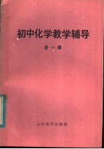 初中化学教学辅导 全1册