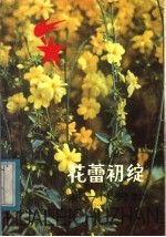 花蕾初绽:新一代赞歌