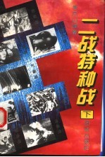 二战特种战 下