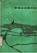 爱情从这里开始
