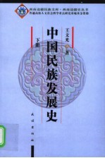 西南边疆史丛书 中国民族发展史 下