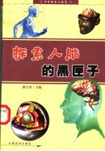 探索人脑的黑匣子