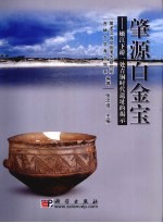 肇源白金宝 嫩江下游一处青铜时代遗址的揭示