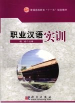 职业汉语实训