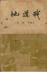 地道战 小说