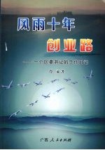 风雨十年创业路:一个区委书记的工作日记