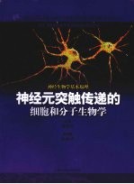 神经元突触传递的细胞和分子生物学 神经生物学基本原理