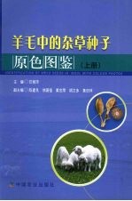 羊毛中的杂草种子原色图鉴 上