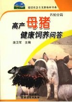 高产母猪健康饲养问答