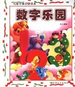 儿童学前启蒙读本 数学乐园