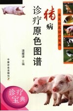猪病诊疗原色图谱