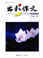 出彩作文 精粹本