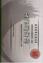 太极藤球功