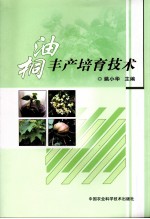 油桐丰产培育技术