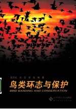 鸟类环志与保护