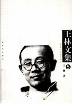 王林文集 第5卷 抗战日记
