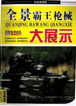 全景霸王枪械大展示