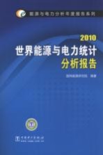 世界能源与电力统计分析报告 2010