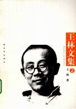 王林文集 第2卷 腹地
