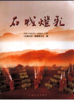石城灯彩