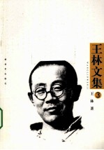 王林文集 第3卷 十八匹战马