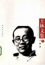 王林文集 第1卷 幽僻的陈庄