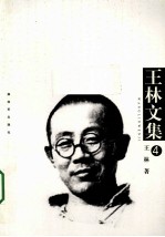 王林文集 第4卷 火山口上