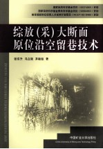 综放(采)大断面原位沿空留巷技术