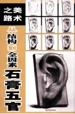 美术之路 从结构到全因素石膏五官