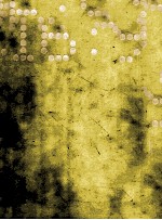 张晓刚16:9