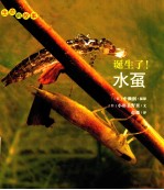 诞生了!水虿
