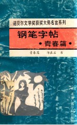 钢笔字帖 青春篇