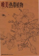 热带植物 唯美白描精选
