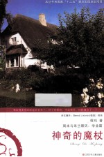 神奇的魔杖