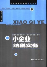 小企业纳税实务