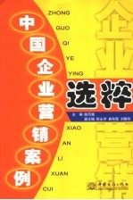 中国企业营销案例选粹