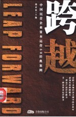 跨越 中国民营企业资本运营50经典案例