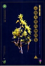 云南天然药物图鉴 第1卷