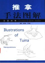 推拿手法图解 汉英对照