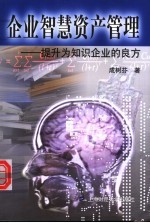 企业智慧资产管理 提升为知识企业的良方