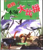宝宝的第一套动物书 动物本领大比拼