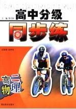 高中分级同步练 高二物理