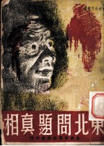 东北问题真相