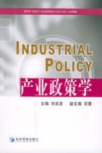 产业政策学